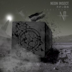 Konstrukt