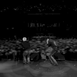 Walking Through the Bullets