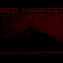 Internal Punishment Programs