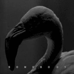 Somebody