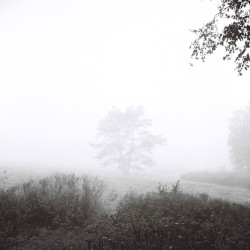 Kratylos (live performance)