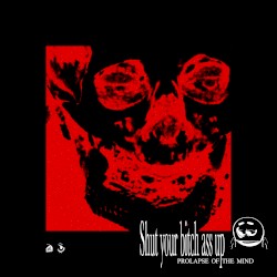 Shut Your Bitch Ass Up: PROLAPSE OF THE MIND