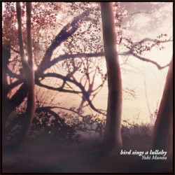 bird sings a lullaby