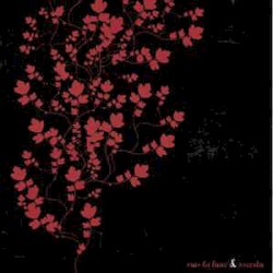 Split 7"