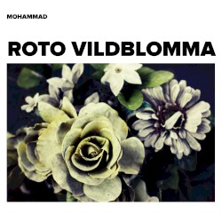 Roto vildblomma