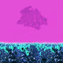 Woumb Garden At Sunrise