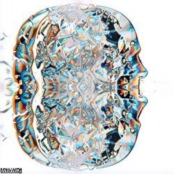 Duplexity EP