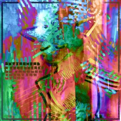 a confluence of tangled, twisting lines