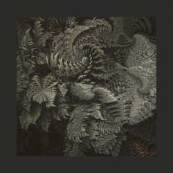 R̼e̸̬mi̸̞̥̭x̥͘