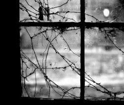 I Can Feel My Skin Crawl