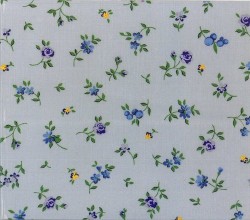 Higher than the Sun e.p.