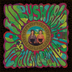 Official Live Bootleg, vol,11