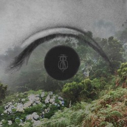 Watch the Flowers Blooming