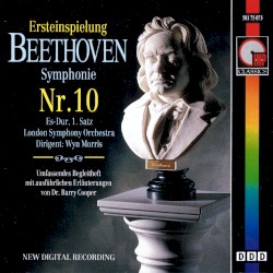 Symphonie Nr. 10 in Es-Dur, 1. Satz