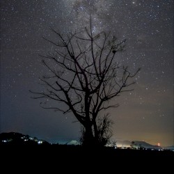 Ambient Noize Vol. 5