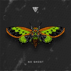 No Ghost (Cicada)