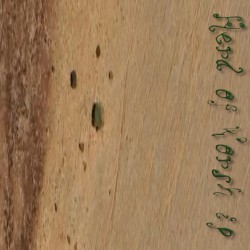 Spore 6, the Sixth: 3°31'32.6"N 37°46'10.5"E