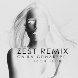 Твоя тень (Zest remix)