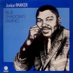 You Don't Have to Be Black to Love the Blues