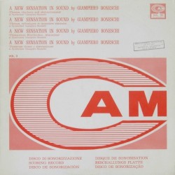 A New Sensation In Sound (Themes, Rhythmic and Abstractionisms Vol. 3)