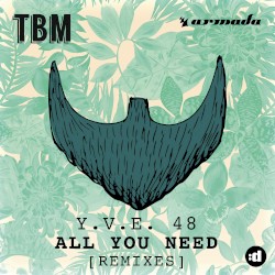 All You Need (Remixes)