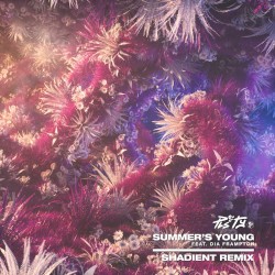 Summer's Young (Shadient remix)