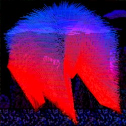 命の形が死んだ