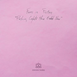 Flashing Lights Have Ended Now