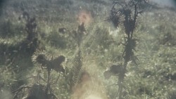 Grantchester Meadows (BBC session, 12 May 1969)