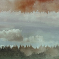 Suburban Field Recordings (Vol. 4)