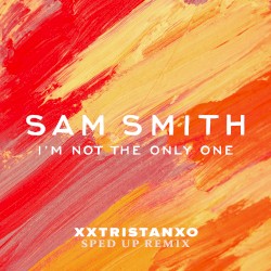 I’m Not the Only One (sped up remix)