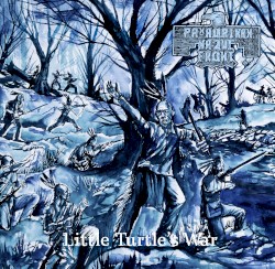 Little Turtle's War