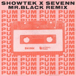 Pum Pum (MR.BLACK Remix)