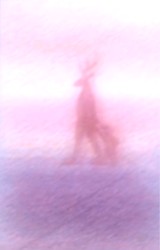 It Was Early Winter, and the Sky Was Unbelievably Clear