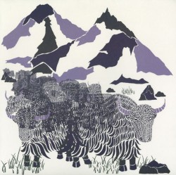 Non Meters, Volume One