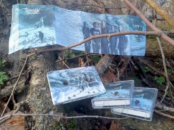 In the Kingdom of North