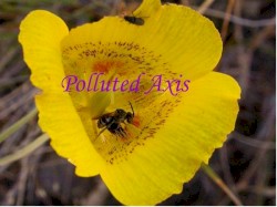 A Day In The Life Of...