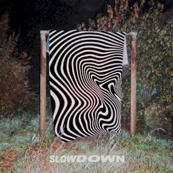 slowdown