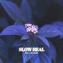 Slow Heal