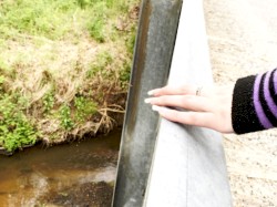 Freeroam 145 :: Real-Light Relations From the Second Meeting Which Now Achieved Near Doubleweek Transcendence XIII -- "solofokca & duofok retrnerest"