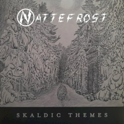 Skaldic Themes