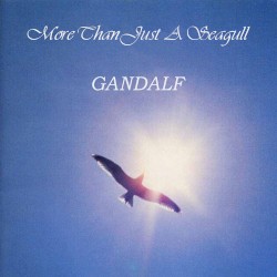 More Than Just a Seagull