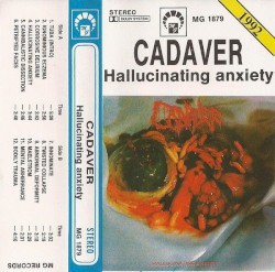Hallucinating Anxiety