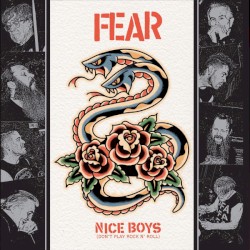 Nice Boys (Don't Play Rock N' Roll)
