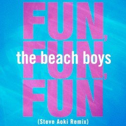 Fun, Fun, Fun (Steve Aoki Remix)