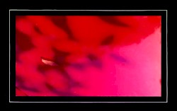 1st Demo Tape