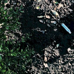 CXT003: With The Pulse