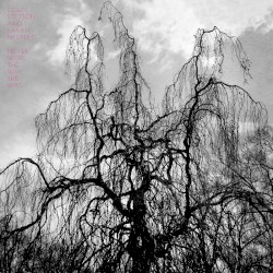 Never Were the Way She Was