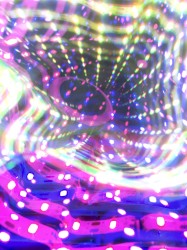 Freeroam 35 :: Day 13 of the Happening Situation -- "Sentience, Return!"