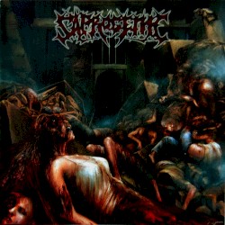 The Wet Sound of Flesh on Concrete